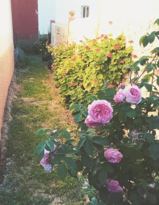 Welcomehome Chefchaouen Ngoại thất bức ảnh